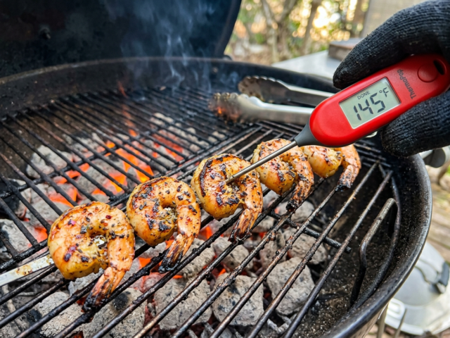 Best Temp to Grill Salmon